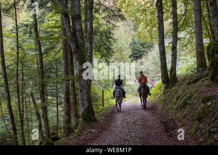 Frankreich, Haute Savoie, Mieussy, Reiten entlang der Giffre aus Sommand Stockfoto