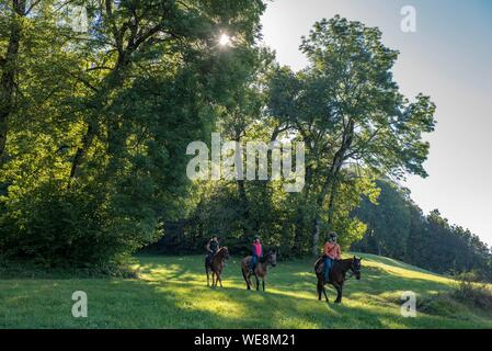 Frankreich, Haute Savoie, Mieussy, Reiten entlang der Giffre aus Sommand, in den Wiesen des Jourdy Stockfoto