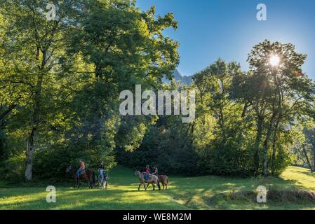 Frankreich, Haute Savoie, Mieussy, Reiten entlang der Giffre aus Sommand, in den Wiesen des Jourdy Stockfoto