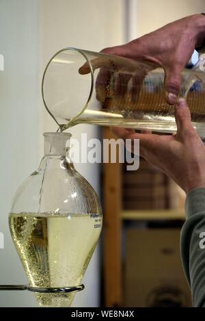 Frankreich, Franche-Comté, Besancon, Aromacomtois, Hersteller von ätherischen Ölen von Jura Nadelholz durch Destillation, ökologischer Landbau, weiß Tanne (Abies alba), wird das Öl an der Ausfahrt des noch Dekantiert Stockfoto