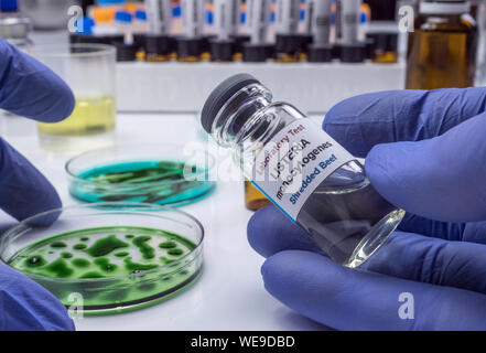 Gutachten gefülltes Fleisch durch Bakterium von Listeria in Labor verseucht, sprießen in Spanien verursacht Stockfoto