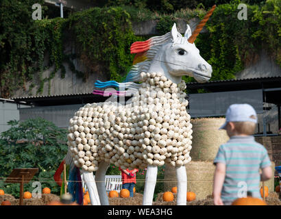 Ludwigsburg, Deutschland. 30 Aug, 2019. Ein Einhorn aus weißen Kürbisse am 20 Kürbis Ausstellung im Park des Residenzschlosses vorgestellt. Nach Ausstellern, dies ist der größte seiner Art in der Welt in diesem Jahr unter dem Motto "fantastische Märchenwelt". Quelle: Thomas Kienzle/dpa/Alamy leben Nachrichten Stockfoto