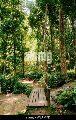 Nature Trail unter großen Baum an Kuang Si Wasserfall mit alten Holzbrücke in Luang Prabang, Laos während der Sommersaison. Stockfoto