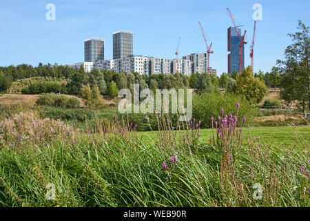 East Village, Stratford, London UK, gesehen von der London Olympic Park, im Sommer Stockfoto