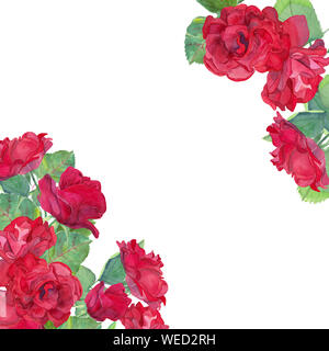 Aquarell von Hand gezeichnet rot Rosenblütenblätter und grüne Blätter, die im Rahmen der Vorlage auf weißem Hintergrund. Design für Einladungen, Feier gestaltet. Stockfoto