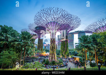 Singapur, Singapur - Juni 7, 2019: upertree der Gärten durch die Bucht in Singapur bei Nacht Stockfoto