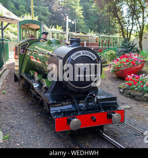 Menschen Reiten ein Flying Scotsman Dampflokomotive Replikat auf dem Miniatur-eisenbahn, North Bay, Scarborough, North Yorkshire, Großbritannien Stockfoto