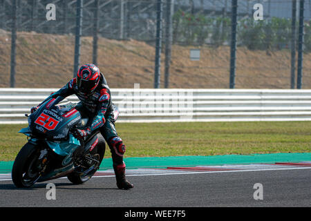 Misano Adriatico, Italien, 30 Aug 2019, 20 FABIO CRASHDOWN PETRONAS YAMAHA SRT während der offiziellen MotoGP-Test in Misano Adriatico (RN) 2019 - MotoGP - Kreditkarten: LPS/Alessio Marini/Alamy leben Nachrichten Stockfoto