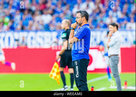 24 august 2019 Gelsenkirchen, Deutschland Fußball Schalke 04 V Bayern München 24-08-2019: Voetbal: Schalke 04 V Bayer München: Gelsenkirchen L-R FC Schalke 04 Trainer David Wagner Stockfoto