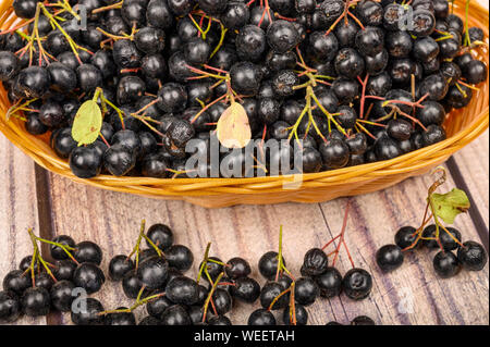 Reif Aronia Beeren in einem Weidenkorb auf dem Tisch. Stockfoto