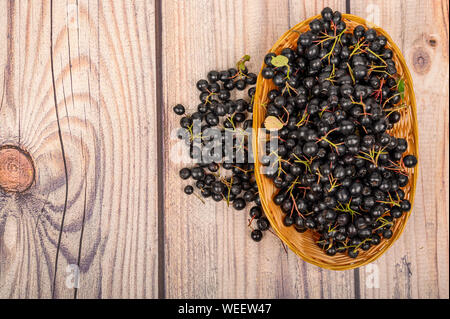 Reif Aronia Beeren in einem Weidenkorb auf dem Tisch. Stockfoto