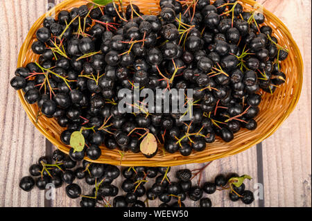 Reif Aronia Beeren in einem Weidenkorb auf dem Tisch. Stockfoto