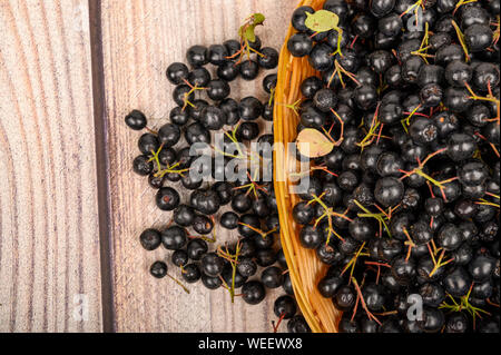 Reif Aronia Beeren in einem Weidenkorb auf dem Tisch. Stockfoto
