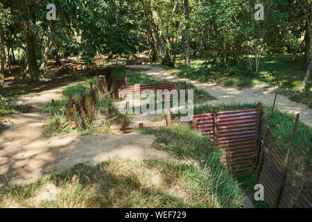 Grabensystemen im Heiligtum Holz. Belgien Stockfoto