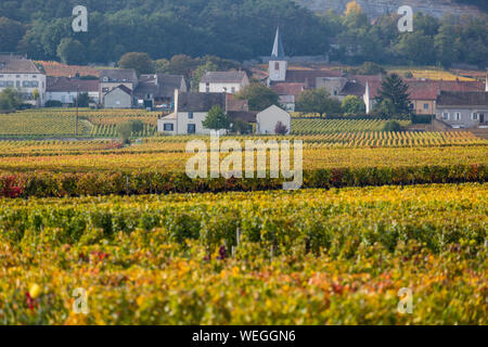 Puligny Montrachet auf der Great Wine Route, Burgund, Frankreich, Herbst Stockfoto