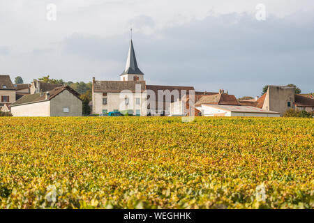 Puligny Montrachet auf der Great Wine Route, Burgund, Frankreich, Herbst Stockfoto