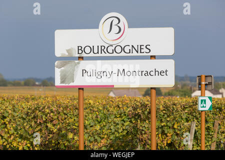 Bourgogne, Puligny-Montrachet Schild auf der Great Wine Route in Burgund, Frankreich, Herbst Stockfoto