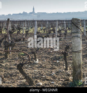 Auf der Suche durch die Weinberge des Burgund (Bourgogne) in Richtung der kleinen Ortschaft Saint Andelain in Frankreich. Stockfoto