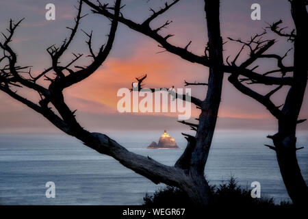 Tillamook Rock Lighthouse und toter Baum. Oregon Stockfoto