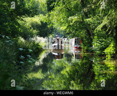 Schmale Boot auf Caldon Canal Staffordshire England mit Reflexionen im Sommer Stockfoto