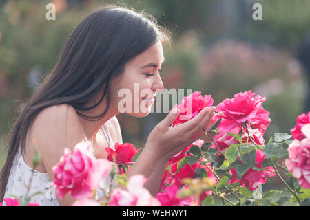 Asiatische Aussehen teenage Mädchen an und riechen Rosen suchen, San Jose, Kalifornien Stockfoto