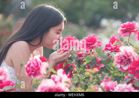 Asiatische Aussehen teenage Mädchen an und riechen Rosen suchen, San Jose, Kalifornien Stockfoto