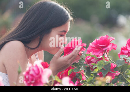 Asiatische Aussehen teenage Mädchen an und riechen Rosen suchen, San Jose, Kalifornien Stockfoto