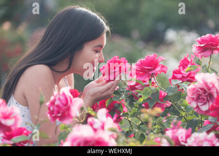 Asiatische Aussehen teenage Mädchen an und riechen Rosen suchen, San Jose, Kalifornien Stockfoto