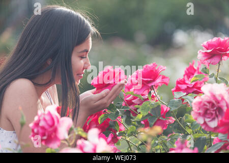 Asiatische Aussehen teenage Mädchen an und riechen Rosen suchen, San Jose, Kalifornien Stockfoto