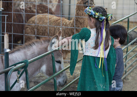 Bruder und Schwester 5-6 Jahre alt und 9 Jahre alt der asiatischen Aussehen am Streichelzoo mit Pony, Gilroy, Kalifornien Stockfoto