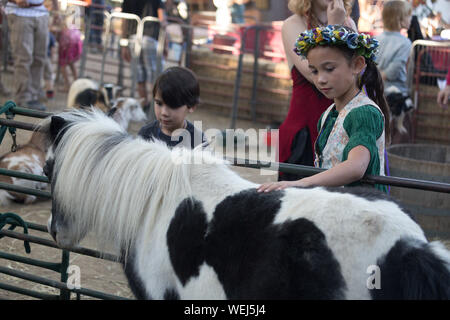 Bruder und Schwester 5-6 Jahre alt und 9 Jahre alt der asiatischen Aussehen am Streichelzoo mit Pony, Gilroy, Kalifornien Stockfoto