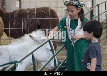 Bruder und Schwester 5-6 Jahre alt und 9 Jahre alt der asiatischen Aussehen am Streichelzoo mit Pony, Gilroy, Kalifornien Stockfoto