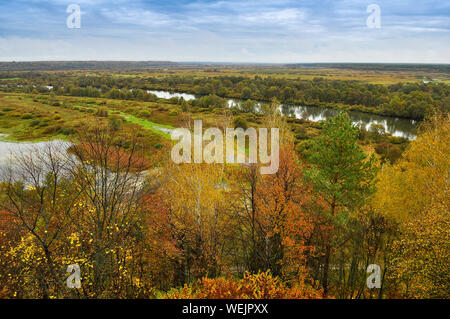 Herbst Landschaft: Bäume mit gelben Blätter wachsen an den Ufern eines kalten Herbst Fluss inmitten der dunklen stürmischen Himmel Stockfoto