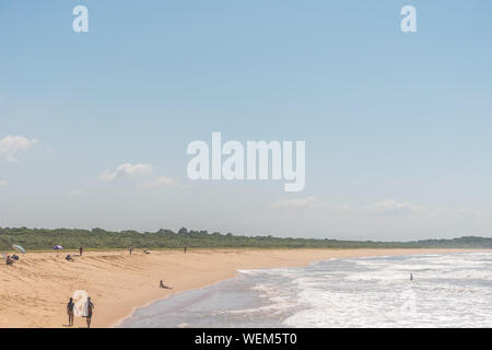 Eine Person schwimmt in den Atlantischen Ozean, ein paar Spaziergänge, einige Leute unter Ihrem Sonnenschirm am Strand chillen, einheimische Vegetation befindet sich hinter dem Strand bei P Stockfoto