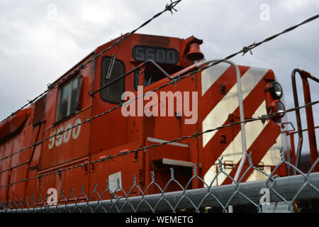 Barb - verkabelt Zaun mit dem Zug Motor im Hof Stockfoto