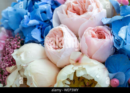 Blumenstrauß aus sanften Pfingstrose Blüten. Blume Hintergrund mit erstaunlichen Rosa und cremig Päonien. Stockfoto