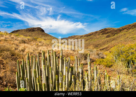 FATAGA SCHLUCHT, GRAN CANARIA Stockfoto