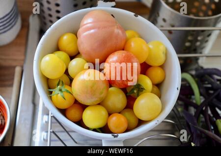 Eine Auswahl an selbst angebauten reifen Tomaten in einem weißen Sieb Stockfoto