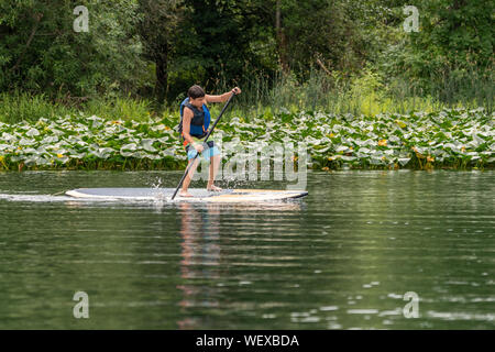 Issaquah, Washington, USA. Junge SUP (Stand up Paddeln) in Lake Sammamish State Park. (Für die redaktionelle Nutzung) Stockfoto