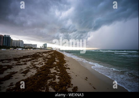 Dramatische stürmisches Wetter Aussicht auf South Beach mit einem Befall von Algen sargassum bis auf den leeren Ufer in Miami, Florida, USA gewaschen Stockfoto