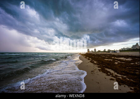 Dramatische stürmisches Wetter Aussicht auf South Beach mit einem Befall von Algen sargassum bis auf den leeren Ufer in Miami, Florida, USA gewaschen Stockfoto