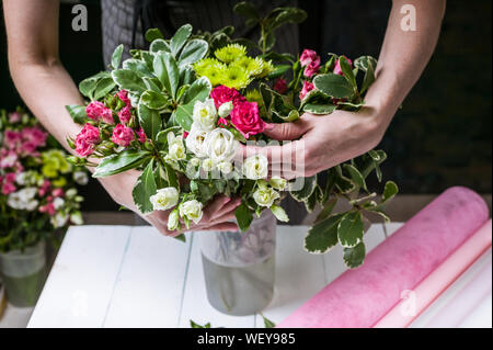 Florist im Werk. Frauenhände, eine Hochzeit Strauß Rosen. Small Business Konzept Stockfoto