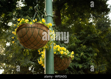 Blumenstrauß gefüllt mit Blumen hängen von der Pole Stockfoto