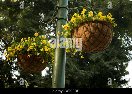 Blumenstrauß gefüllt mit Blumen hängen von der Pole Stockfoto