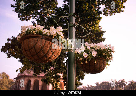 Blumenstrauß gefüllt mit Blumen hängen von der Pole Stockfoto