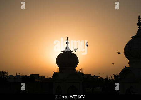 Silhouette eines Gurdwara in einem gelben Hintergrund mit Tauben. Stockfoto