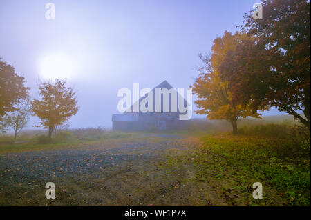 Alte rote Scheune auf einem blauen nebeliger Morgen, Stowe, Vermont, USA Stockfoto