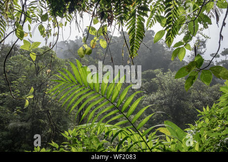 La Paz Wasserfall Garten, Alajuela, Costa Rica, Mai 2019 Stockfoto