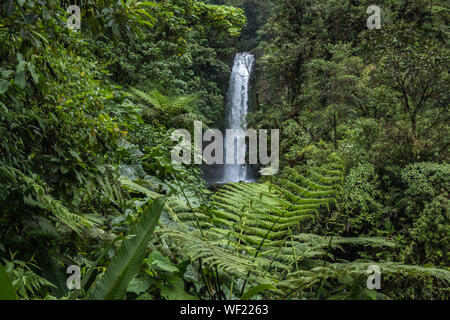 La Paz Wasserfall Garten, Alajuela, Costa Rica, Mai 2019 Stockfoto