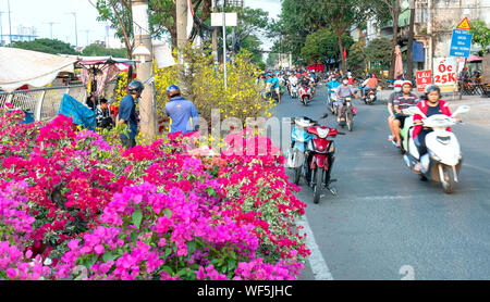 Der Hektik der Kaufende Blumen am Blumenmarkt, Einheimische kaufen Blumen für die Dekoration Zweck das Haus auf dem Neujahrsfest in Ho Chi Minh City, Vietnam. Stockfoto